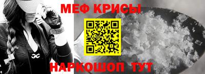 СК Кингисепп