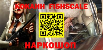 СК Кингисепп