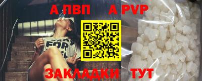 СК Кингисепп