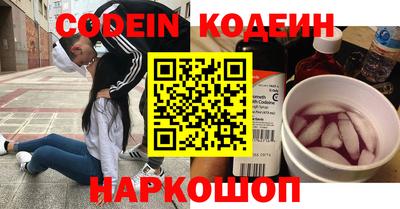 СК Кингисепп