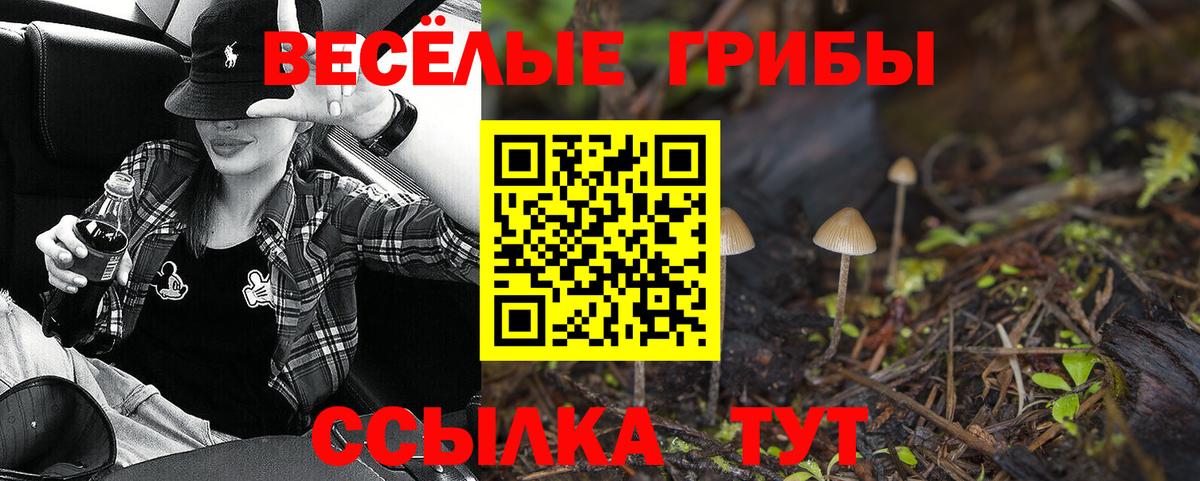 Галлюциногенные грибы ЛСД Кохма