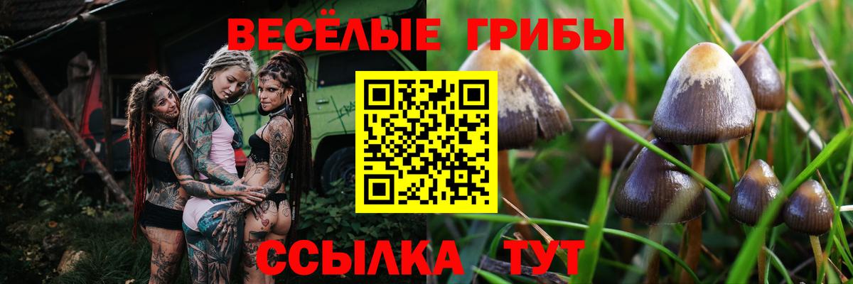 Псилоцибиновые грибы ЛСД  Псилоцибиновые грибы Cubensis  где купить наркоту  Вход с VPN  Кохма 